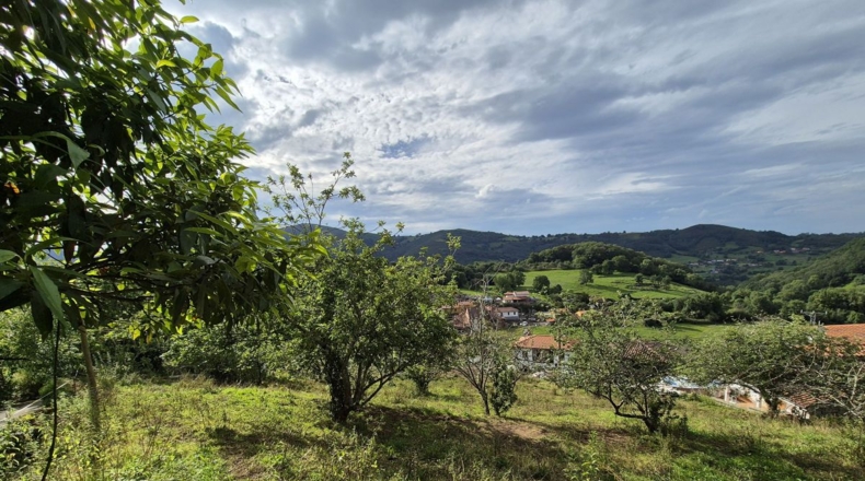 Asturias - Villagarcía - 1286m2