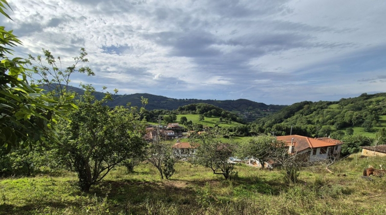 Asturias - Villagarcía - 1286m2