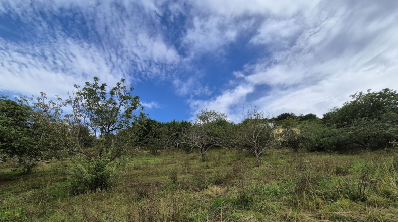 Asturias - Villagarcía - 1286m2