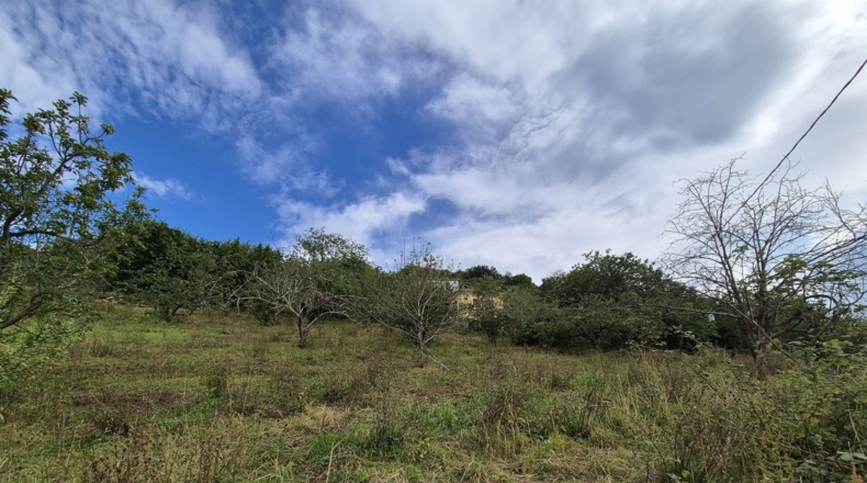 Asturias - Villagarcía - 1286m2