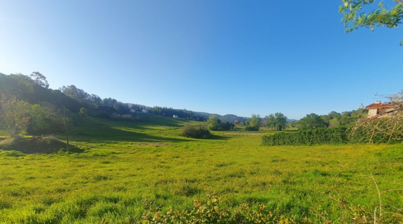 Asturias - San Antolín de Las Dorigas - 1350m2