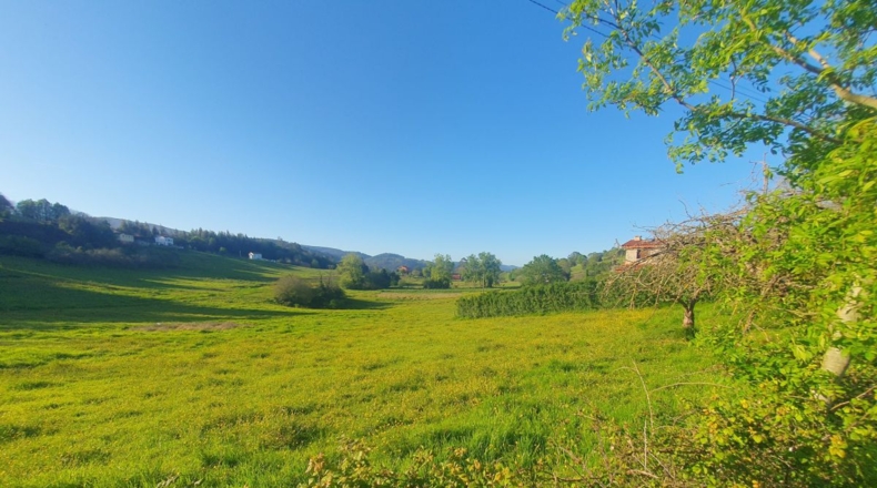 Asturias - San Antolín de Las Dorigas - 1350m2