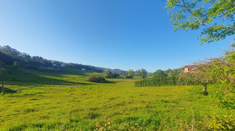 Asturias - San Antolín de Las Dorigas - 1350m2