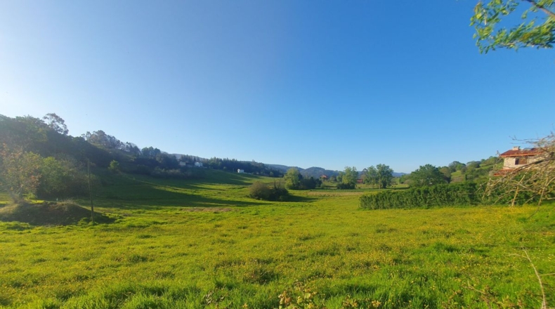 Asturias - San Antolín de Las Dorigas - 1350m2