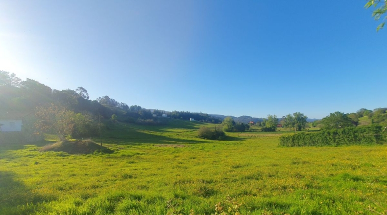 Asturias - San Antolín de Las Dorigas - 1350m2