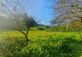 Sòl urbà en venda a Salas ref.: TR106094 foto
