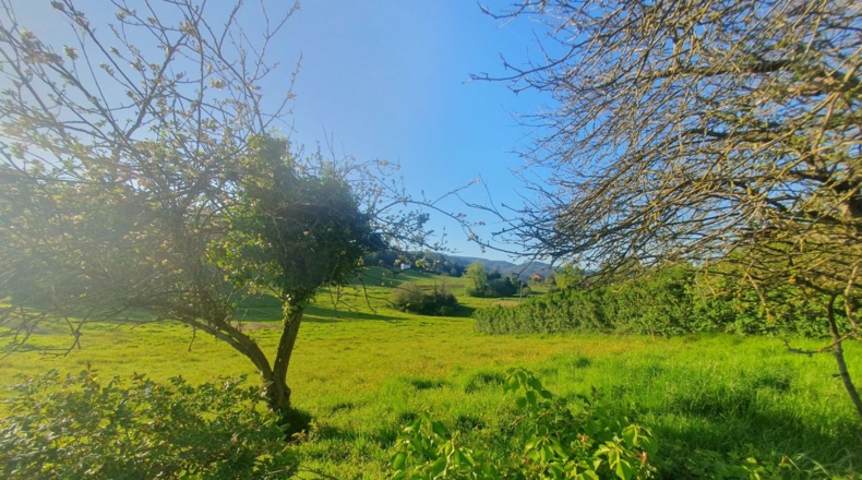 Asturias - San Antolín de Las Dorigas - 1350m2