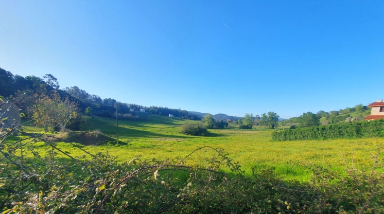 Asturias - San Antolín de Las Dorigas - 1350m2
