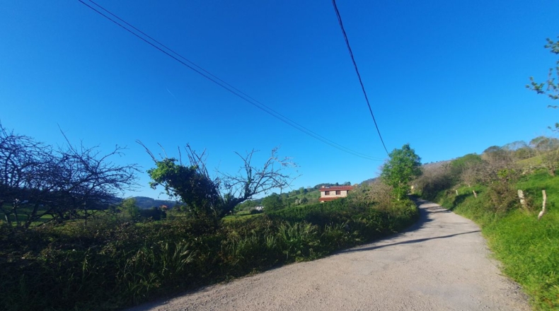 Asturias - San Antolín de Las Dorigas - 1350m2