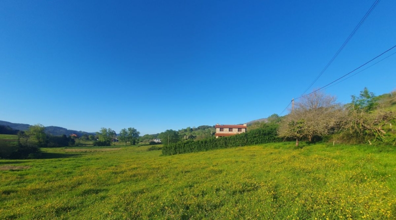 Asturias - San Antolín de Las Dorigas - 1350m2