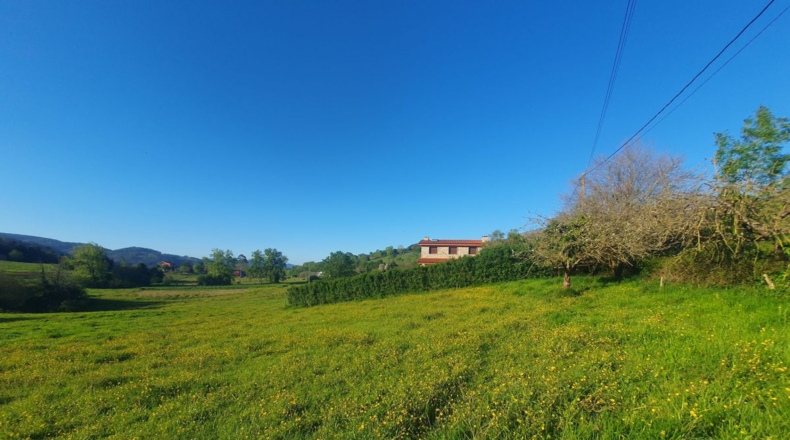 Asturias - San Antolín de Las Dorigas - 1350m2