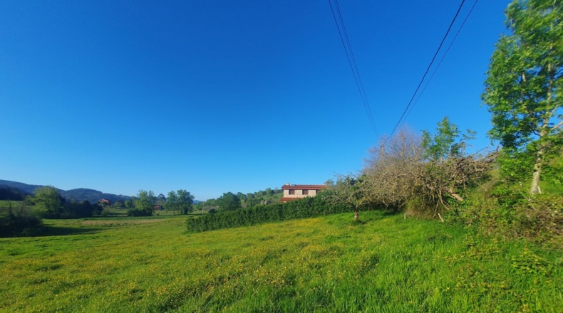 Asturias - San Antolín de Las Dorigas - 1350m2