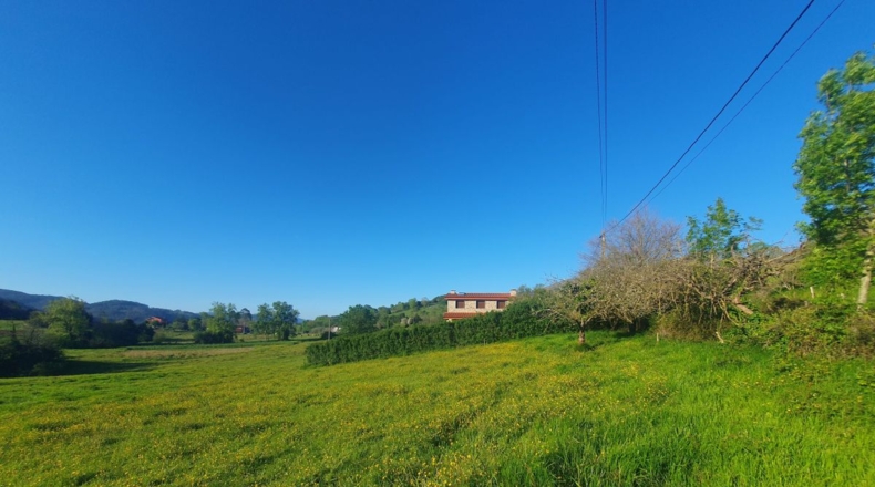 Asturias - San Antolín de Las Dorigas - 1350m2