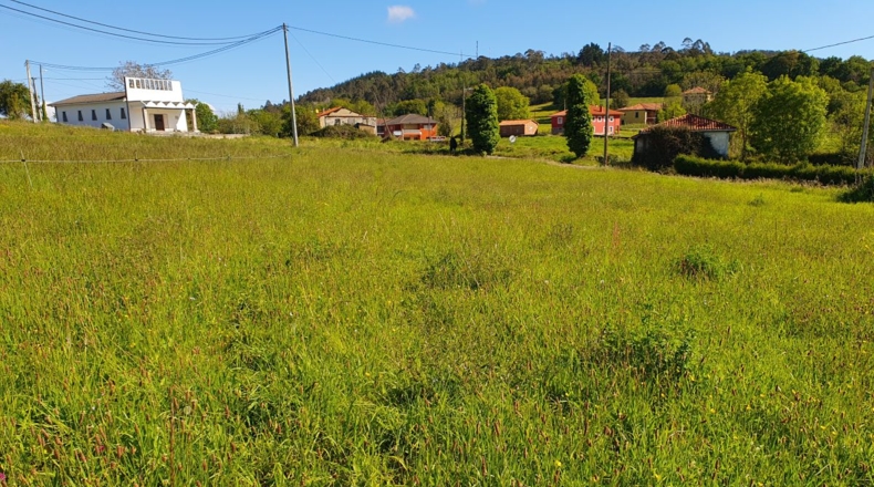 Astúries - Cabruñana - 1798m2