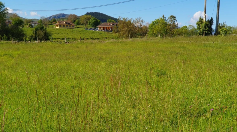 Astúries - Cabruñana - 1798m2