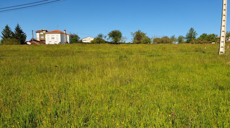 Astúries - Cabruñana - 1798m2