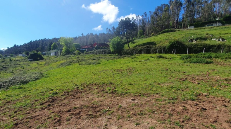 Asturias - Oviedo - 6300m2