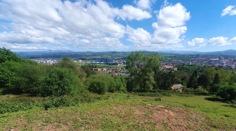 Asturias - Oviedo - 6300m2