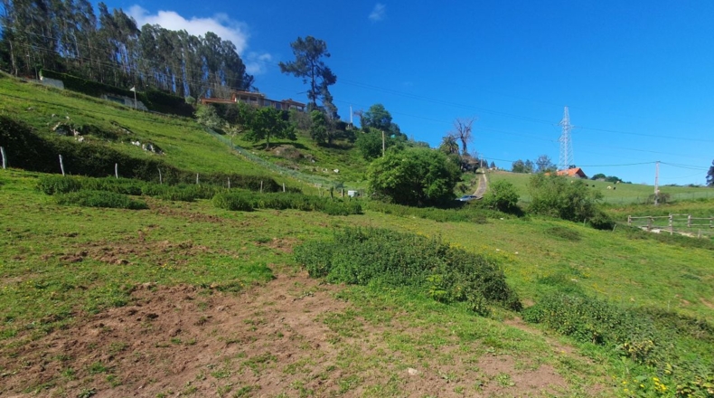 Asturias - Oviedo - 6300m2