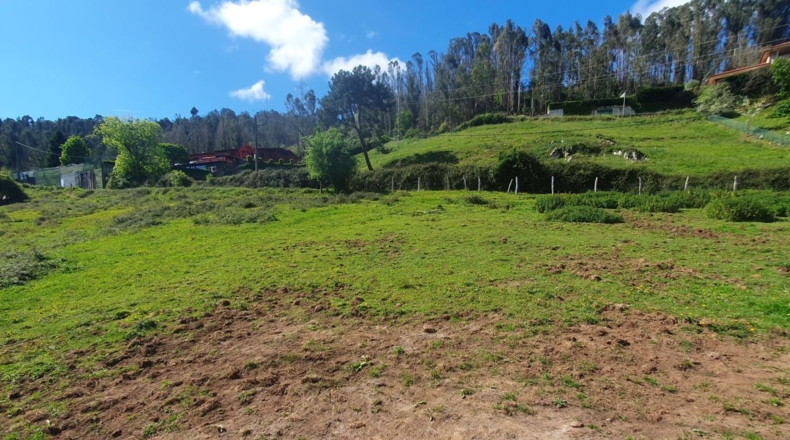 Asturias - Oviedo - 6300m2