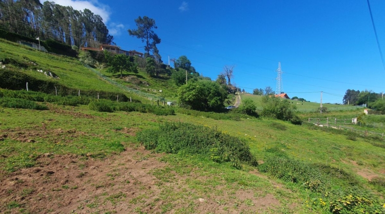 Asturias - Oviedo - 6300m2