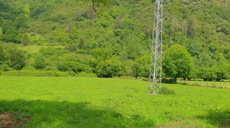 Asturias - La Riera - 7965m2