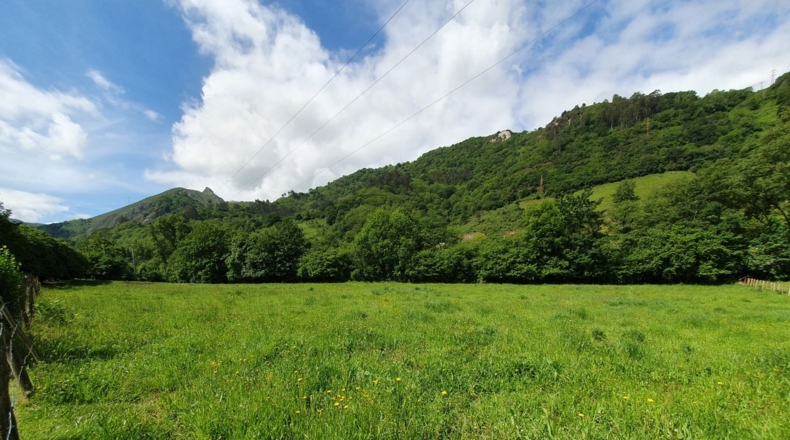 Asturias - La Riera - 7965m2
