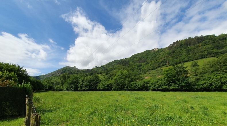 Asturias - La Riera - 7965m2