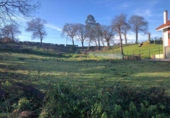 Land suitable for development for sale in Oviedo ref: TR252818 photo