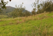 Rural estate for sale in Grado ref: TR184055 photo