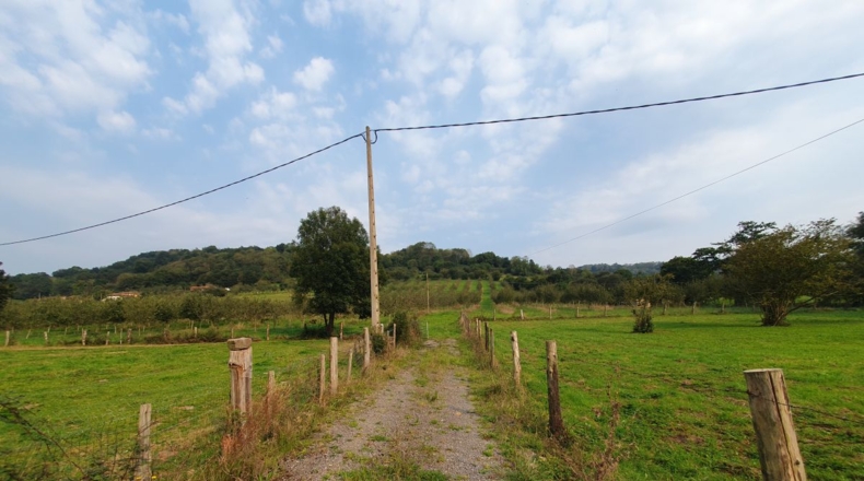 Asturias - La Veiga (Sama de Grado) - 29400m2