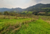 Rural estate for sale in Grado ref: TR184055 photo
