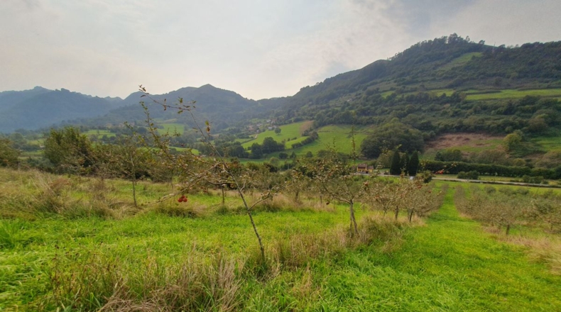 Asturias - La Veiga (Sama de Grado) - 29400m2