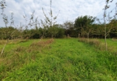 Rural estate for sale in Grado ref: TR184055 photo