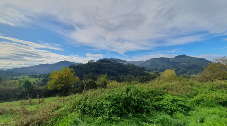Asturias - San Román - 2106m2