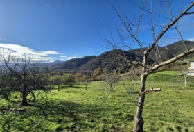 Candamo 1810&nbsp;m² 