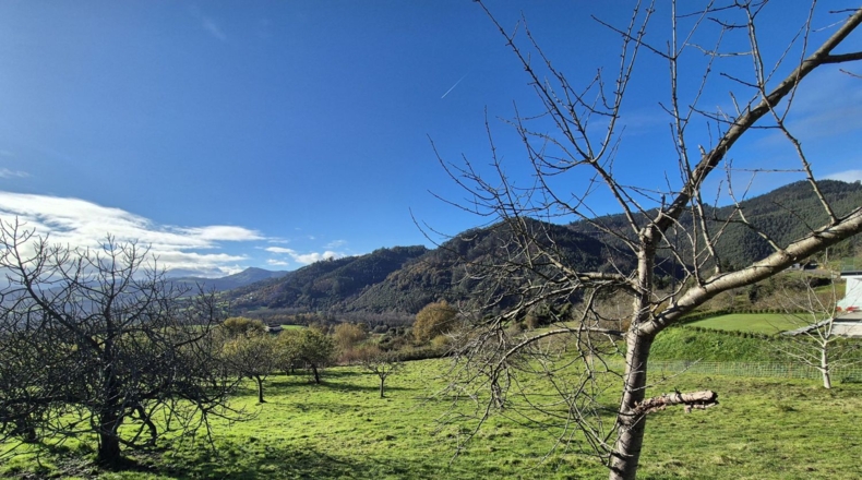 Asturias - Candamo - 1810m2