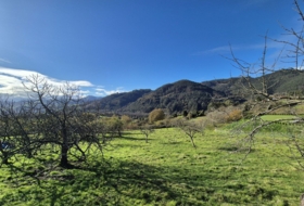 Candamo 1810&nbsp;m² 