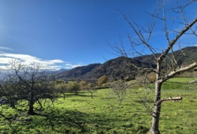 Candamo 1810&nbsp;m² 