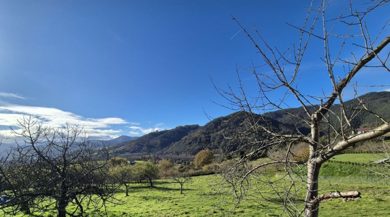 Asturias - Candamo - 1810m2