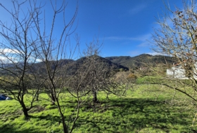 Candamo 1810&nbsp;m² 