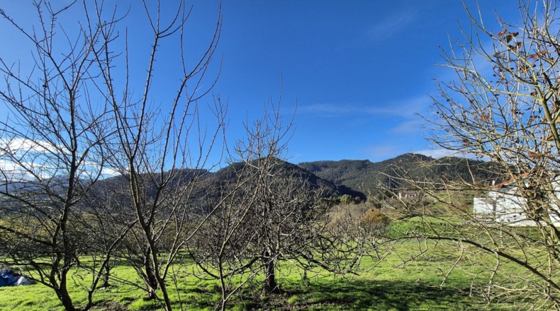 Asturias - Candamo - 1810m2