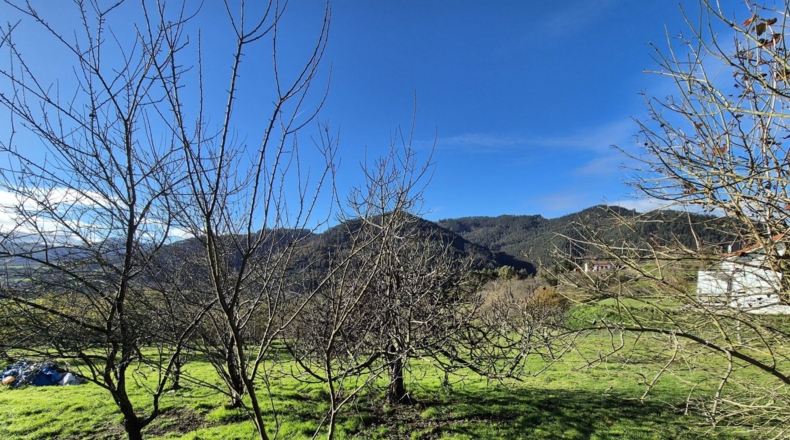 Asturias - Candamo - 1810m2