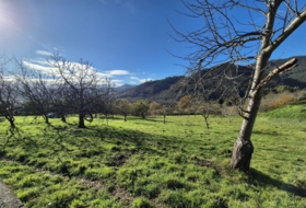 Candamo 1810&nbsp;m² 