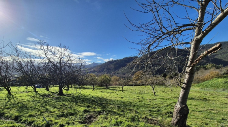 Asturias - Candamo - 1810m2