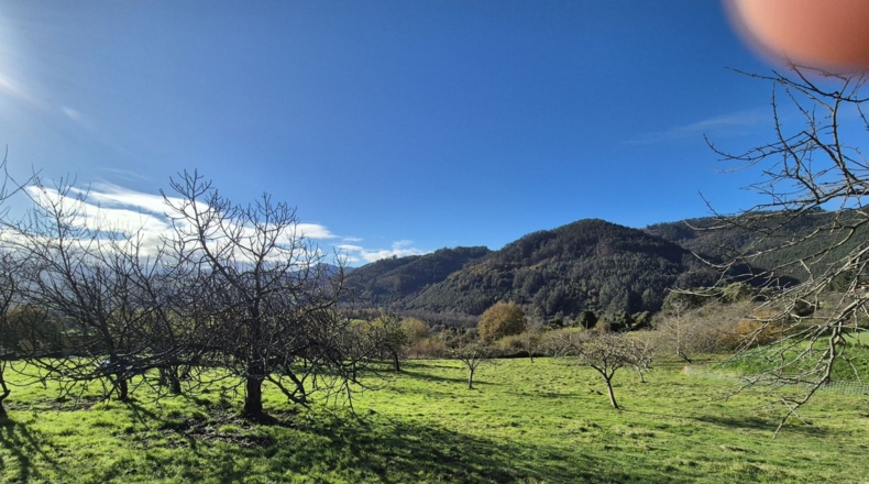 Asturias - Candamo - 1810m2