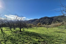 Candamo 1810&nbsp;m² 