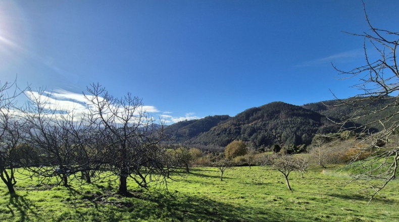 Asturias - Candamo - 1810m2