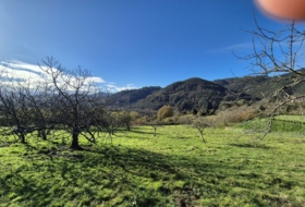 Candamo 1810&nbsp;m² 