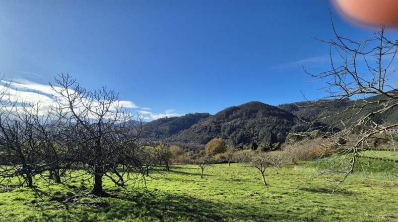 Asturias - Candamo - 1810m2